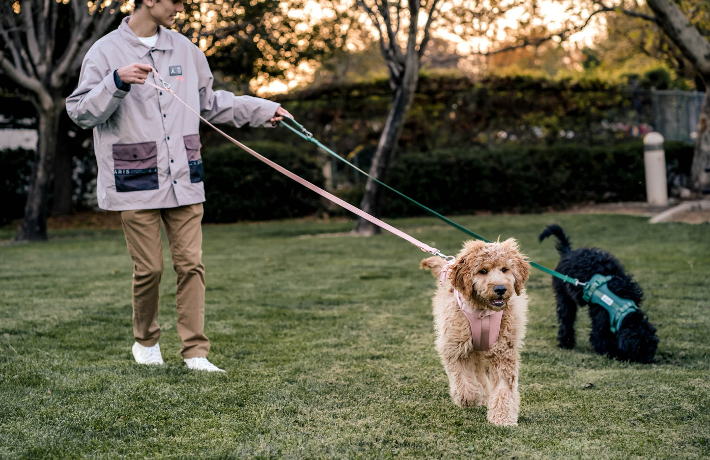 C&C Dog Leash