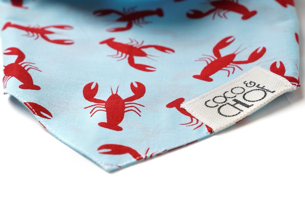 Baja Lobster